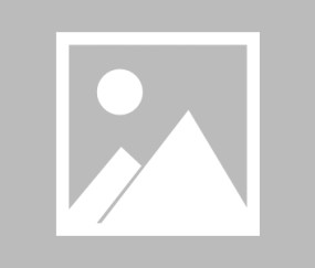 湖北省“百街千巷”全民健身系列赛事活动走进襄阳_手机新浪网